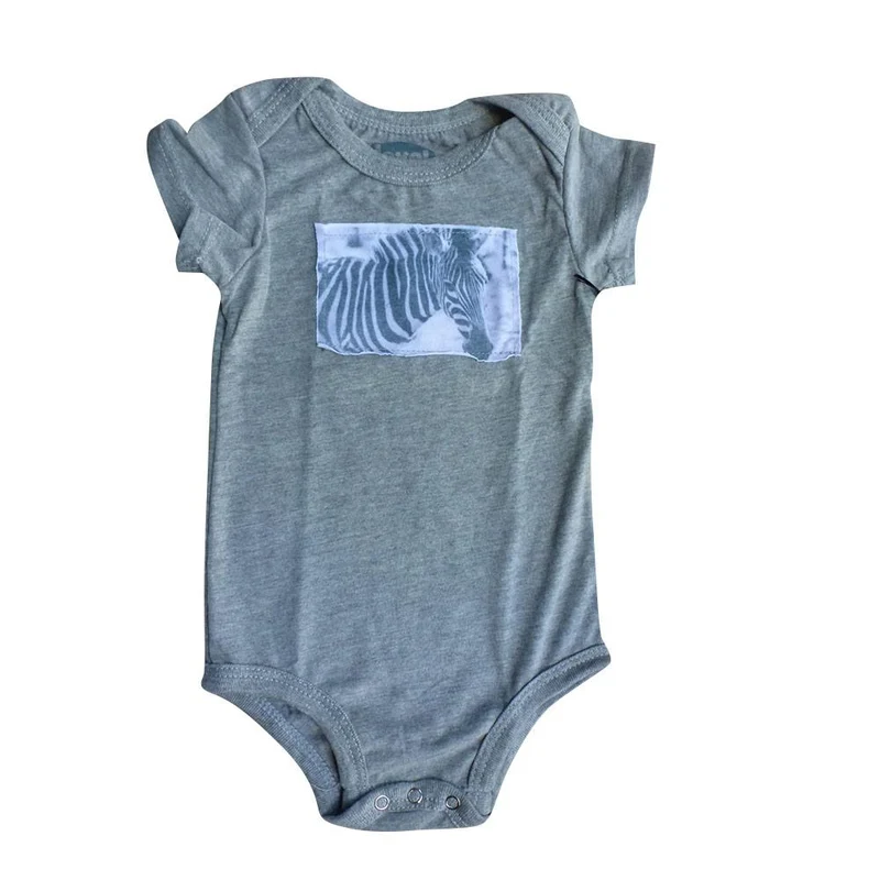 body gris animals zebra
