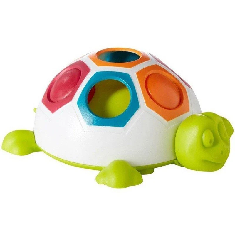 shelly la tortuga
