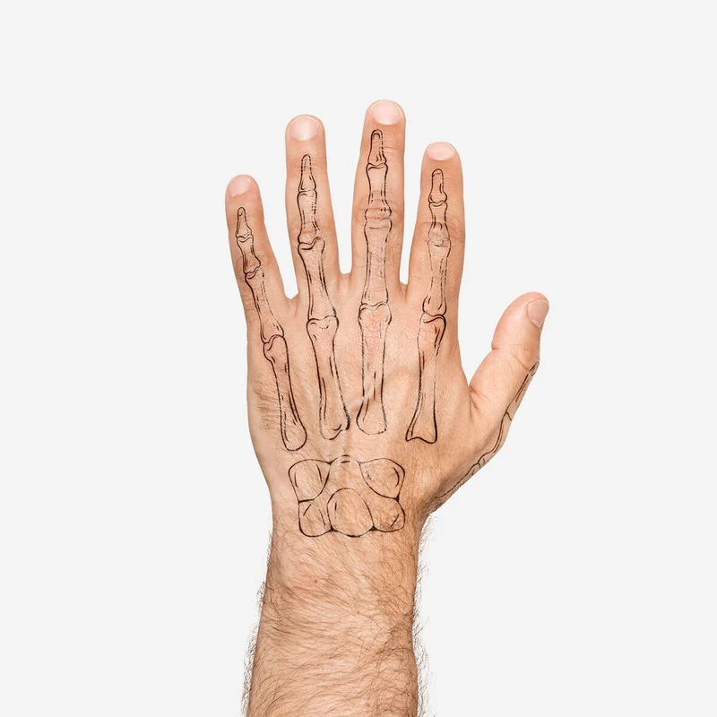 Temporary skeleton hand tattoos - 2 pcs