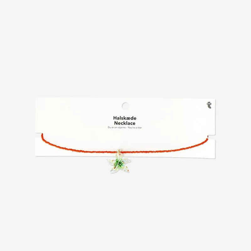 Necklace with glass star