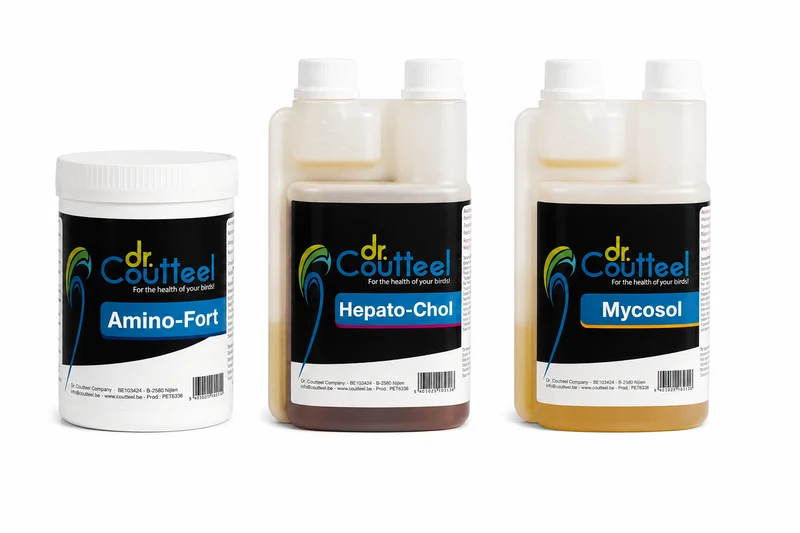 Dr. Coutteel Golden Trio - Pack de muda (3)