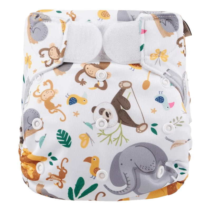 Zwemluier | Klittenband | Wild Animals