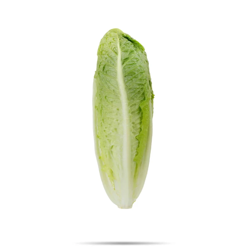 Corazón de Lechuga 2u