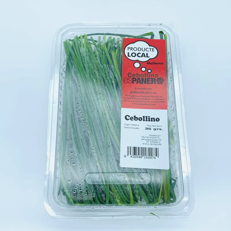 Cebollino