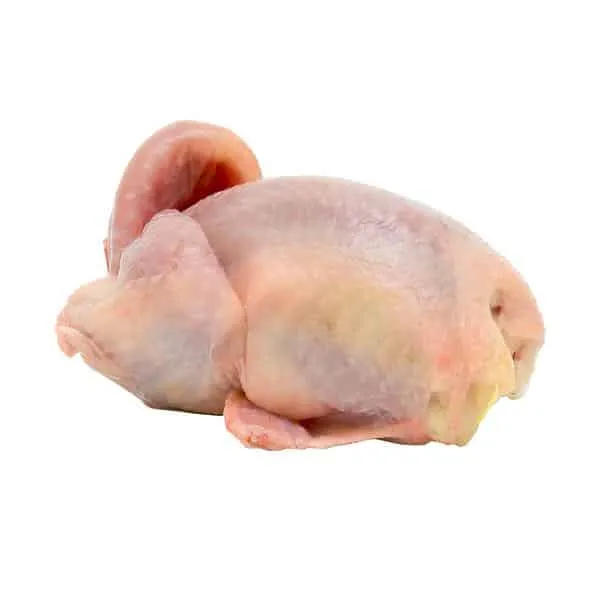 Codornices 1u