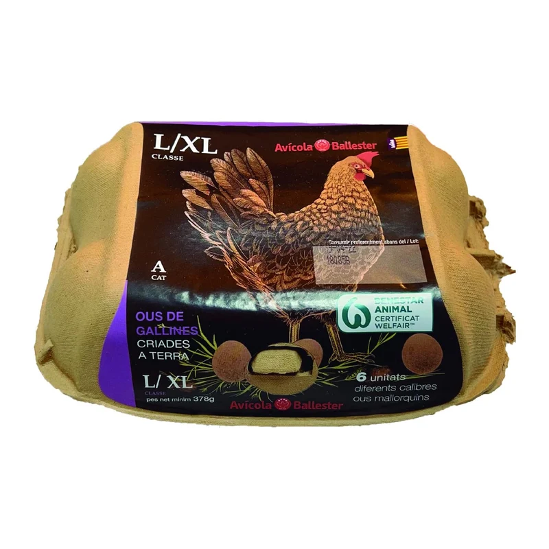 Huevos Avícola Ballester L–XL 6u