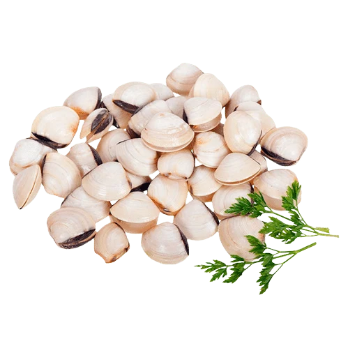 Almejas 500g aprox