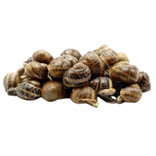 Caracoles Escaldados 250g aprox