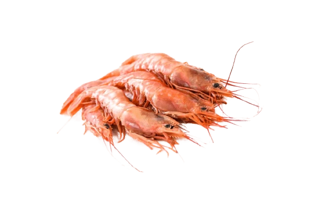 Gamba Langostinera con Piel 400g aprox
